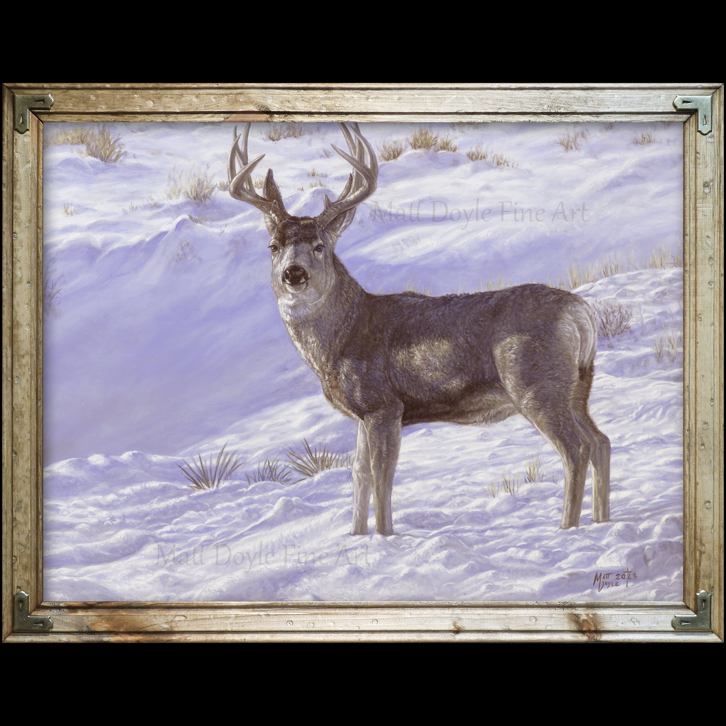 Deer — Matt Doyle Fine Art